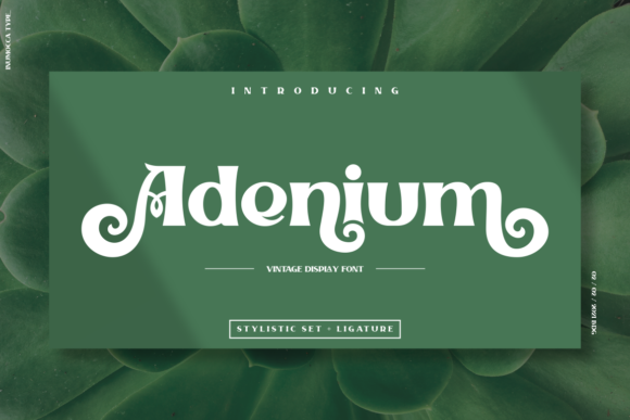 Adenium Font: Elevating Editorial Design with Style